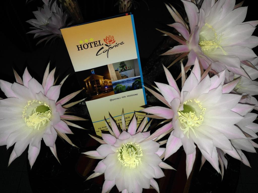 Caprice Hotel Avigliana Exterior photo